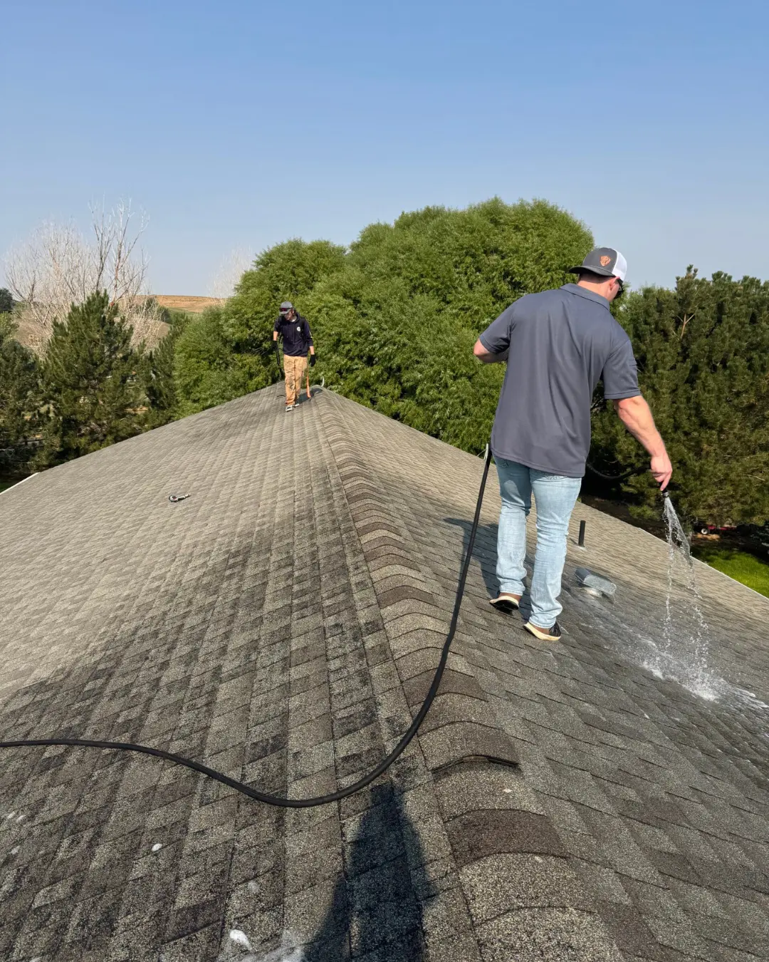 SealGuard treated roof